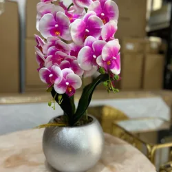 Orquídea con base
