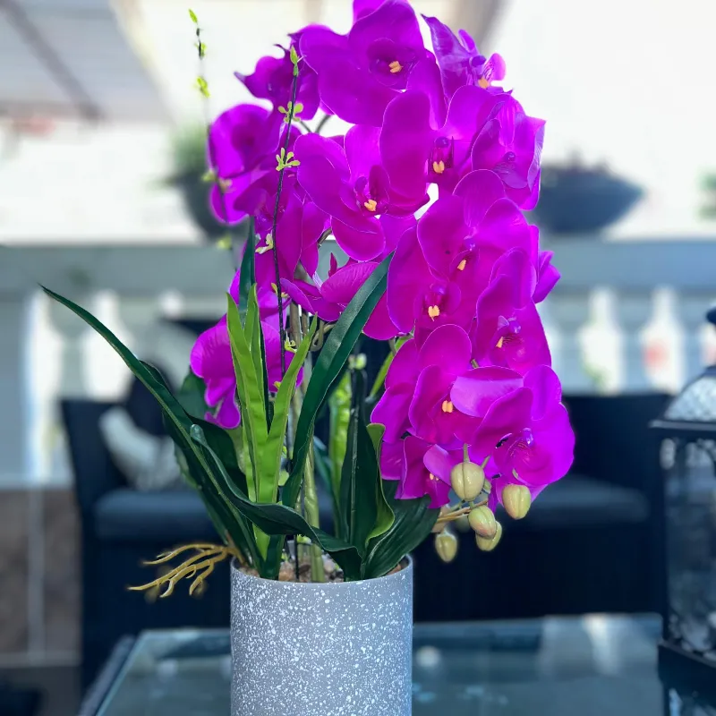 Orquídea con base