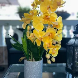 Orquídea con base