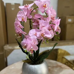 Orquídea con base