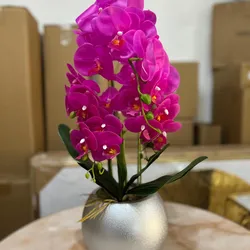 Orquídea con base