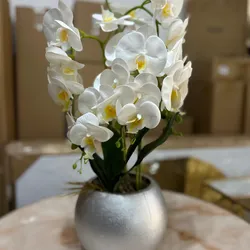 Orquídea con base
