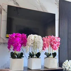 Orquídea moderna con base