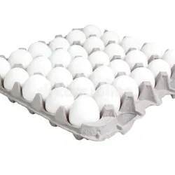 Carton de huevos 30 huevos