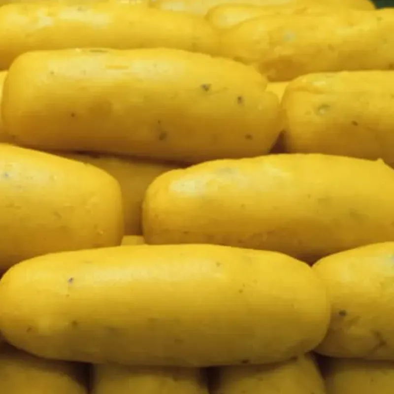 Croqueticas