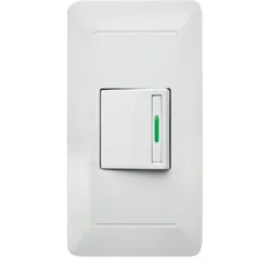 Interruptor simple
