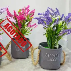 Lavanda
