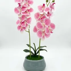 Orquídea con base de cerámica