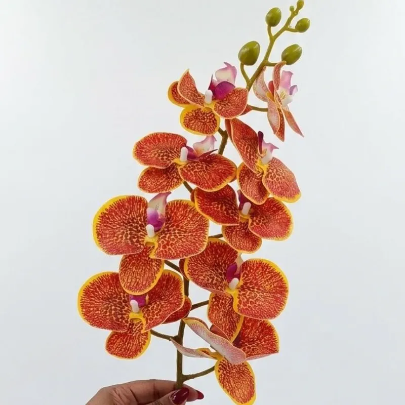 Rama de Orquidia