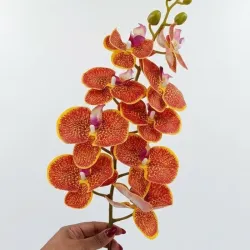Rama de Orquidia