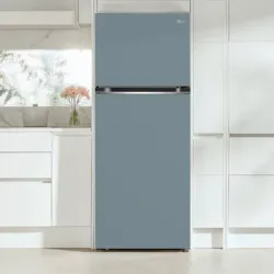 REFRIGERADOR LG DE 14 PIES³