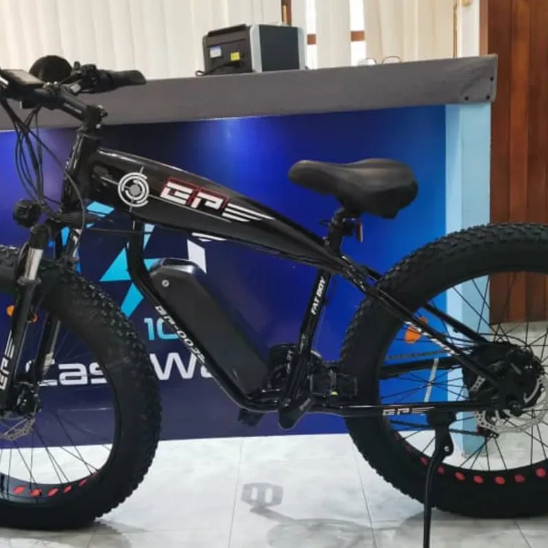 Bicicleta de pedaleo asistido (eléctrica)