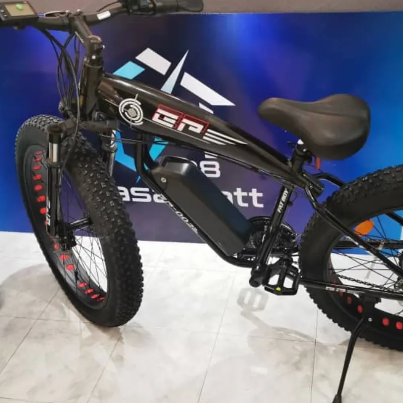 Bicicleta de pedaleo asistido (eléctrica)