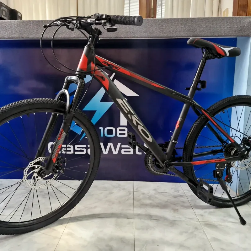 Bicicleta EKO 26 de paseo.
