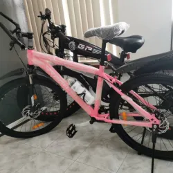 BICICLETA GRANDE CONVENCIONAL