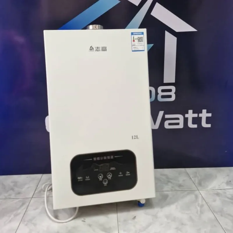 CALENTADOR DE AGUA 12L DE GAS 220V