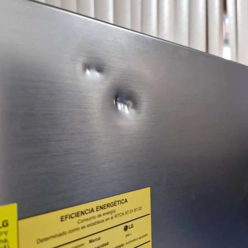 REFRIGERADOR LG 10 PIES INVERTER CON DETALLES