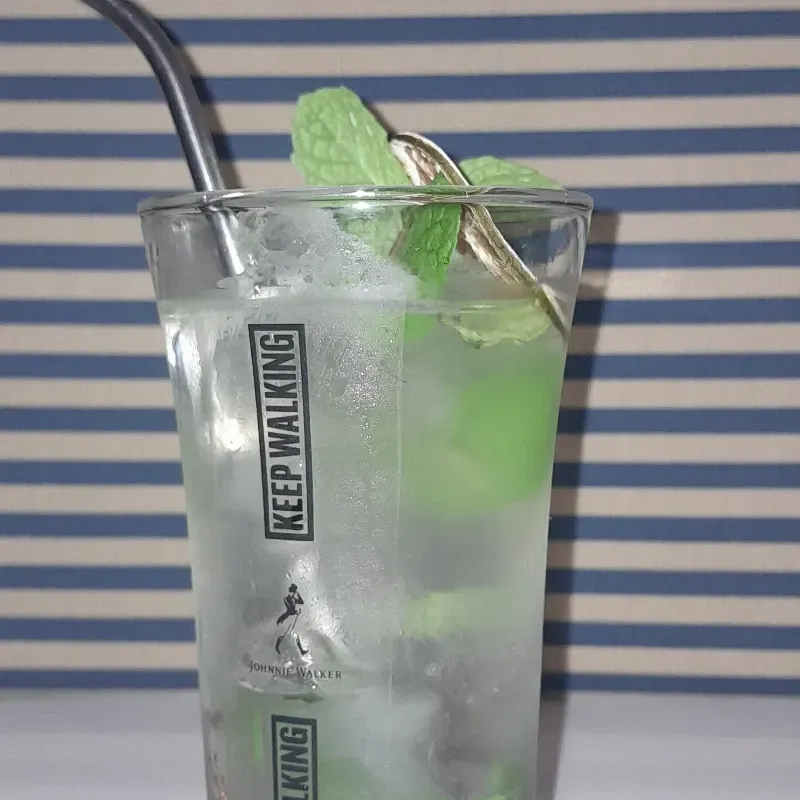 Virgin Mojito