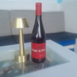 Red Wine Sangre de Toro Original