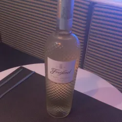 White Wine Freixenet 