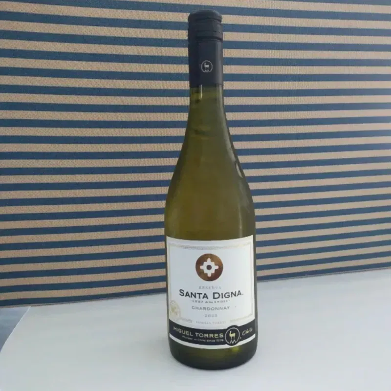 White Wine Santa Digna Reserva 