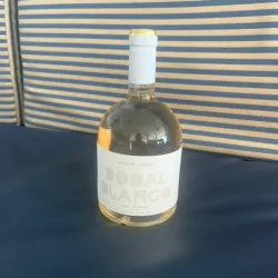 White Wine Vicente Gandía 