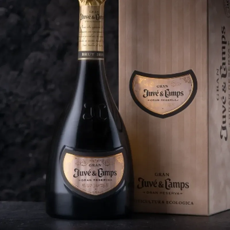 VE Juve & Camps Gran Reserva 