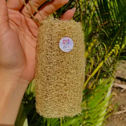 Luffa corporal