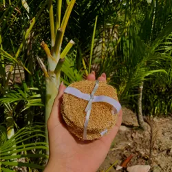 Luffa facial