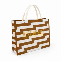 Bolsa de Regalo Mediana