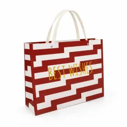 Bolsa de Regalo Mediana