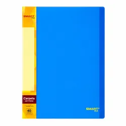 CARPETA 40 MICAS