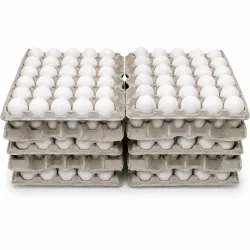 Carton de Huevos