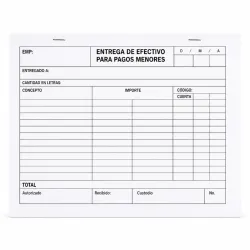 Entrega de Efectivo para pagos menores (100H)