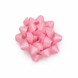 Moño de Regalo Grande