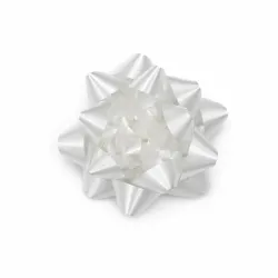 Moños de Regalo Grande