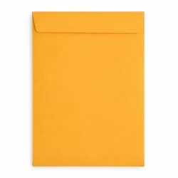 SOBRE MANILA PEQ 162X229MM