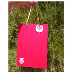 Bolsa de regalo roja
