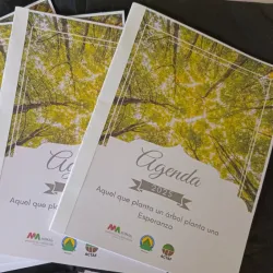 Agenda Corporativa