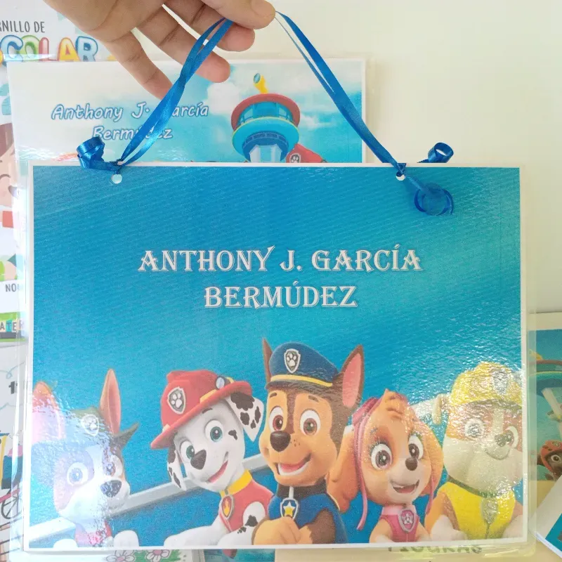 Carpeta Plasticada 