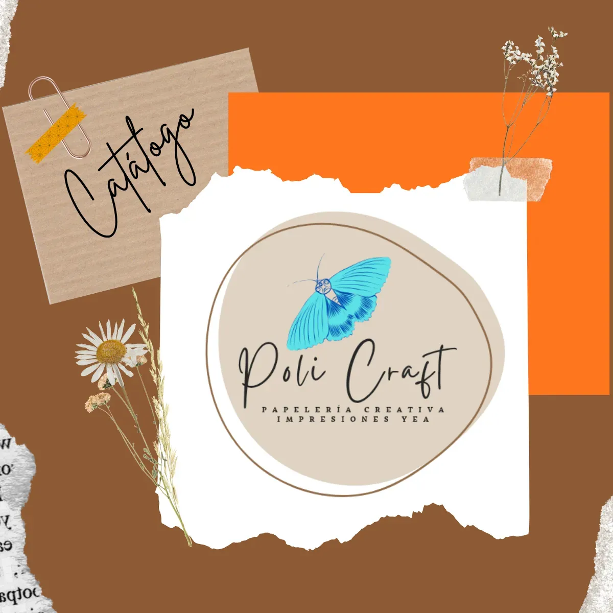 Catálogo de Poli Craft