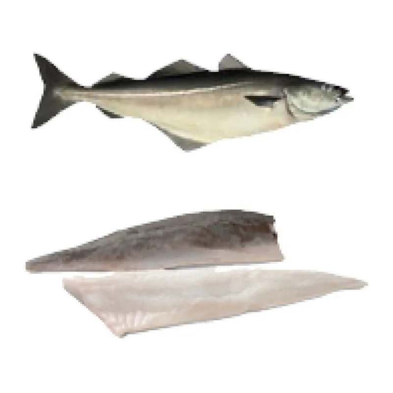 CALVO Filete Fogonero c/Piel 1kg Punto Sal Granel 11kg/Caja.Congelado 30% glaseo