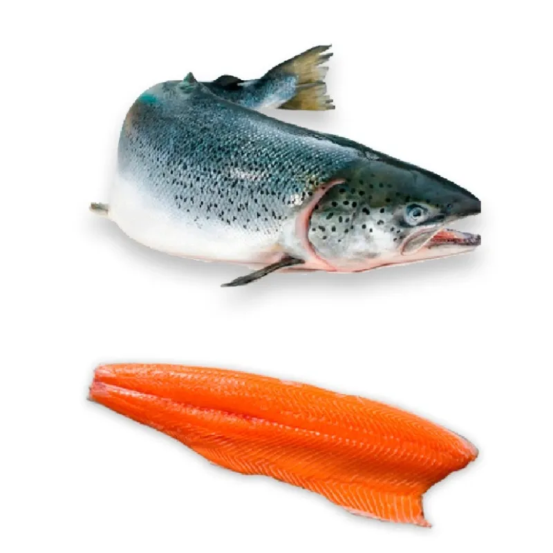 CALVO Filete Salmón Rosado C/Piel 400-1000g Granel 10kg/Caja.Congelado 15% glaseo