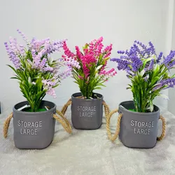 Plantica para decorar (Lavanda)