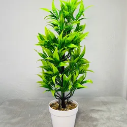 Plantica para decorar
