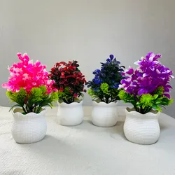Plantica para decorar