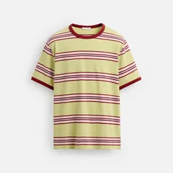 Camisa fondo amarillo 