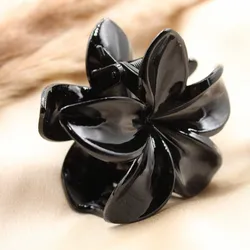 Pellizco negro 