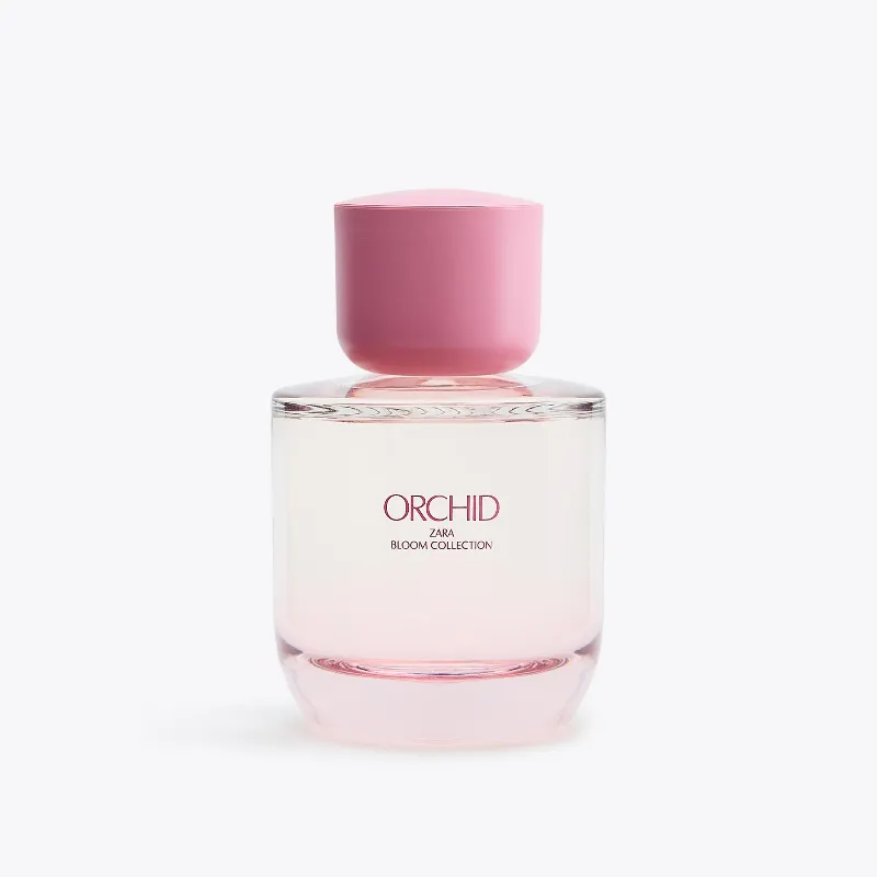 Perfume Orchid 