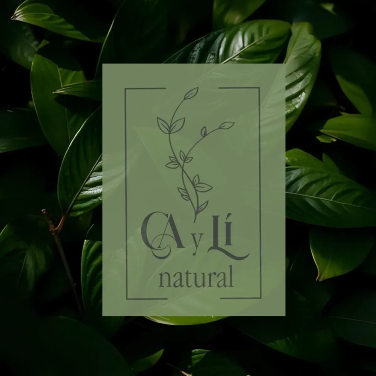 CayLí Natural